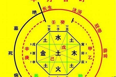 龍德星八字|八字神煞 龙德 (八字里龙德星是什么意思)